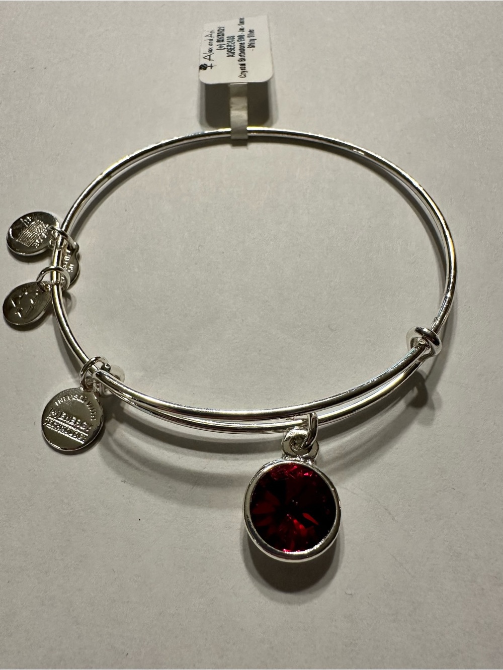 Alex and Ani Silver-Tone Bracelet with Garnet Birthstone Charm - Jan